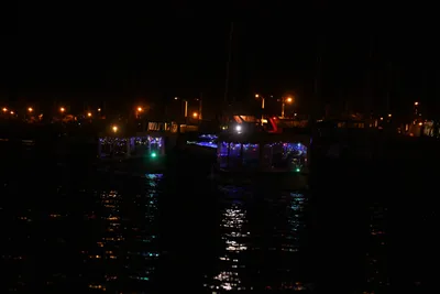 DSC_2466 (Large).JPG